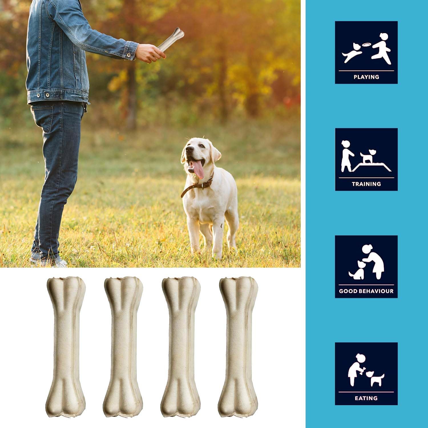 PETHOOD Dog Chew Bone 4 inch - 10 Pc, Chicken Flavor, Young Dogs, Dog Treats, Bones for Dogs | for All Dog Breeds | No Colour Added | Protein Rich, Low Fat 4