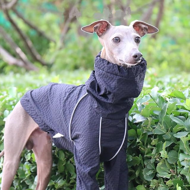 Foto 5 de 6 de IUOUTG Chaqueta Ligera para Perros Cortavientos, Chaqueta Deportiva Al Aire Libre para Mascotas De Cuello Alto