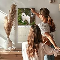 Vista 619 de Razas de Perros 2017