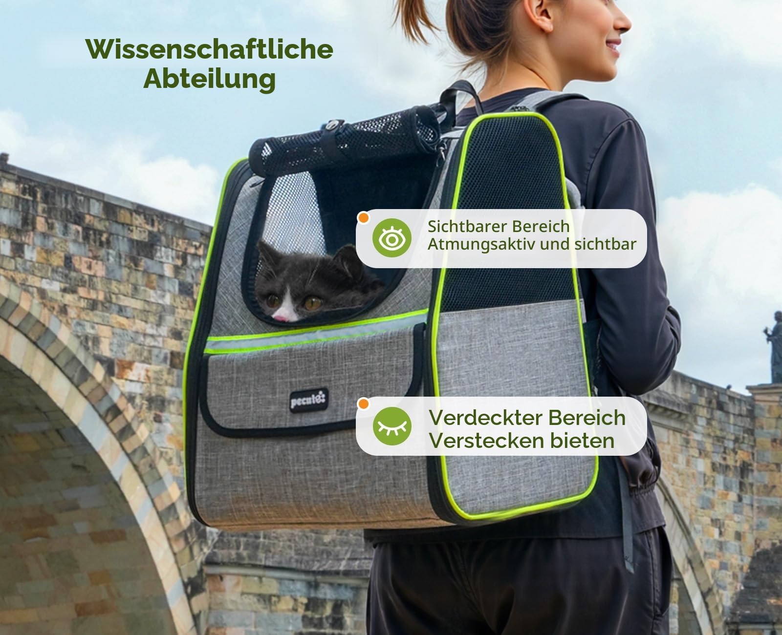 pecute Katzenrucksack Haustier Rucksack mit Netzfenster, Tragbare und Faltbare Katzentasche, Atmungsaktive und Leichte Hundetasche, Multifunktionales Ausgehen Reisen Grau bis 6 kg