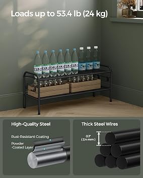 SONGMICS 2-Tier Metal Shoe Rack, Shoe Orgainzer, 33.5 Wide, Holds 12 Pairs