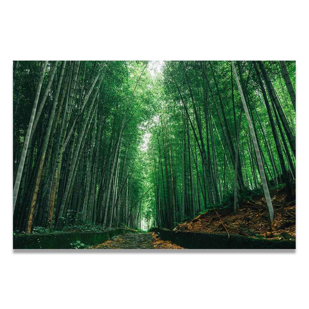 VHdfgTY Zhulin RoadLarge Mountain Landscape Canvas Wall Art Nature Scenery for Home Decor 40x60cm Unframed
