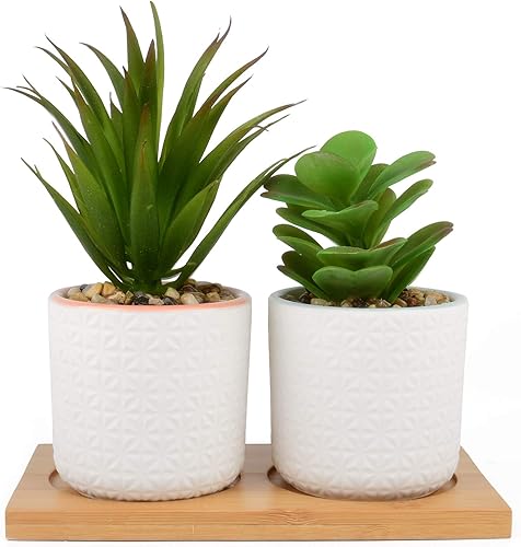 Juego de 2 plantas suculentas artificiales plantas artificiales en macetas de cerámica blanca con bandeja de bambú 65 pulgadas de alto