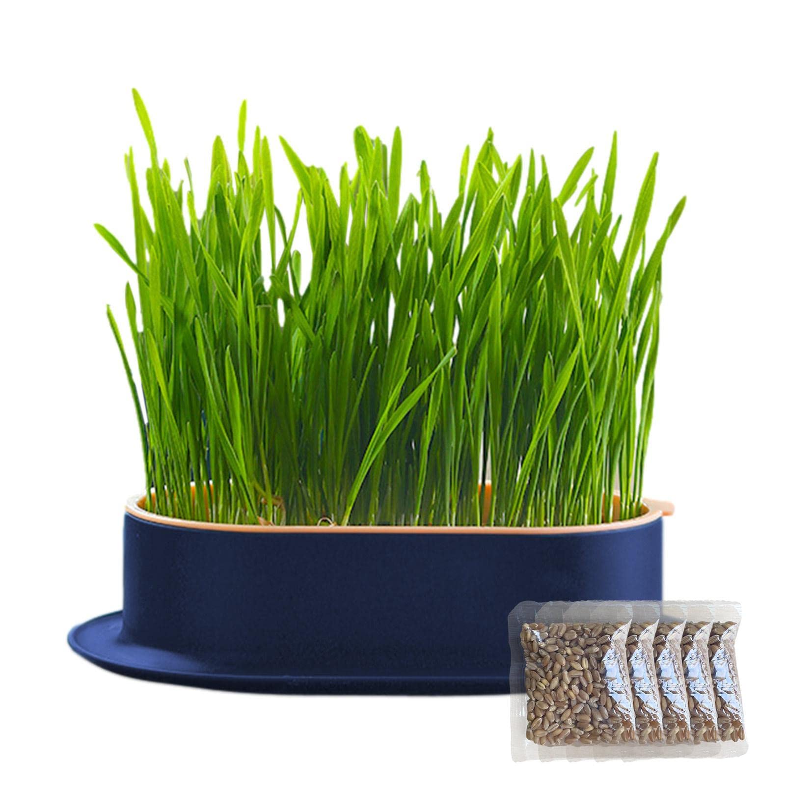 Tebinzi Propagation Trays for Microgreens, Plant Grow Kit Hydroponic Growth Tool, Easy to Set Up Germination Kit for Microgreens Wheat Grass Sprouts from Cultivation