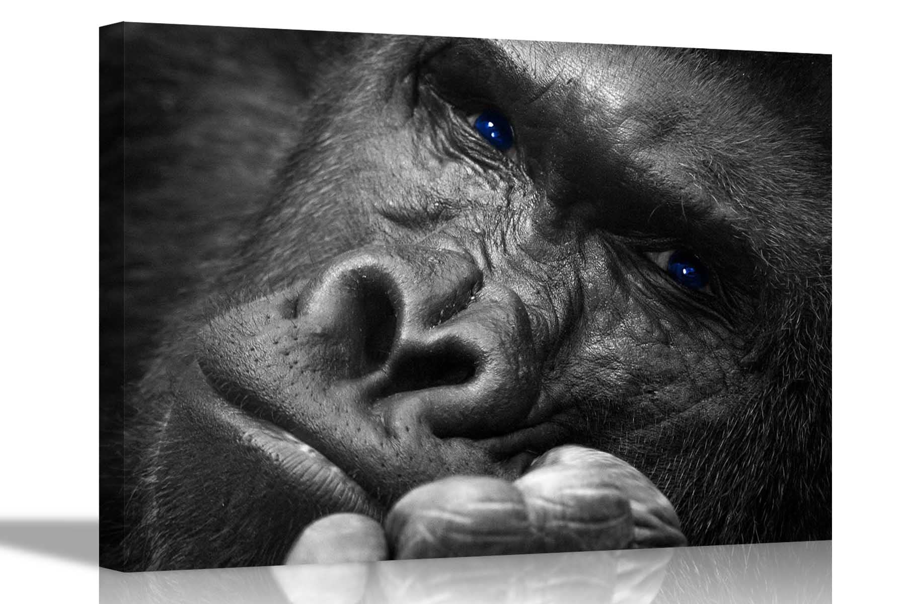 Artley Prints Black The Model Gorilla Canvas Wall Art Prints Home Decor Pictures Animal Artwork Framed And Stretched Nature Framed Posters 101 X 76Cm (40 X 30 Inches)