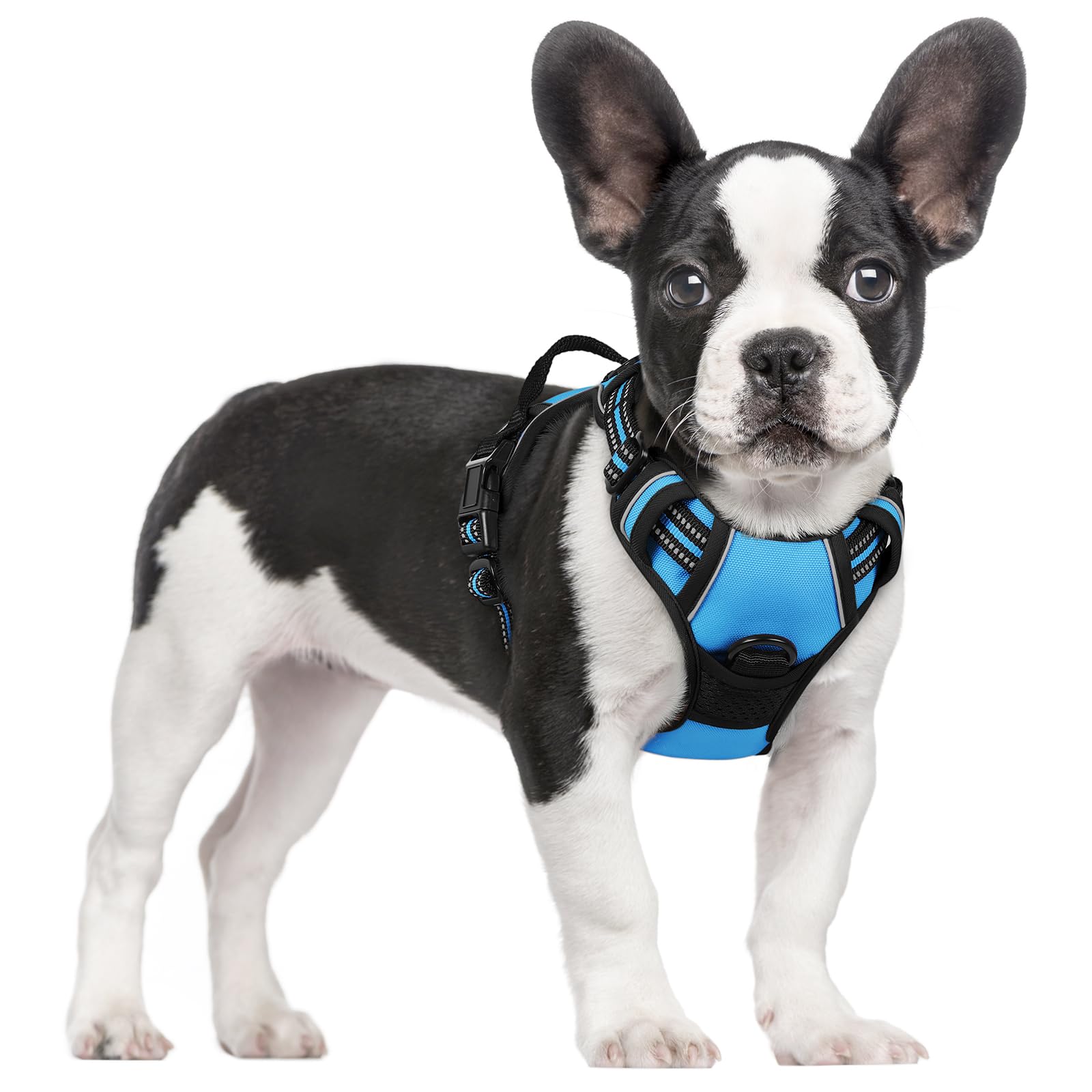 rabbitgoo Dog Harness No Pull with 2 Leash Clips, Adjustable Soft Padded, Reflective Oxford No Choke Pet Vest with Easy Control Handle for Small Dogs, Blue, S