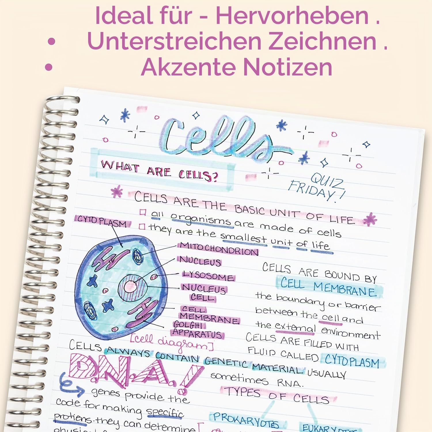 Zebra Pen Mildliner 78301 Textmarker-Set mit doppelter Spitze, breite und feine Spitze, kein Ausbluten, ideal für Bibelhervorhebung, Journaling, Schul- und Bürobedarf, Tropische Biskuit-Tintenfarben