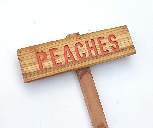 Miniatura 5 de PEACHES Sign, Outdoor Sign, Yard Art, Garden Marker, Fruit Tree Sign, Fruit Marker, Plant Label, Summer Fruit Tree, Deciduous Tree Sign