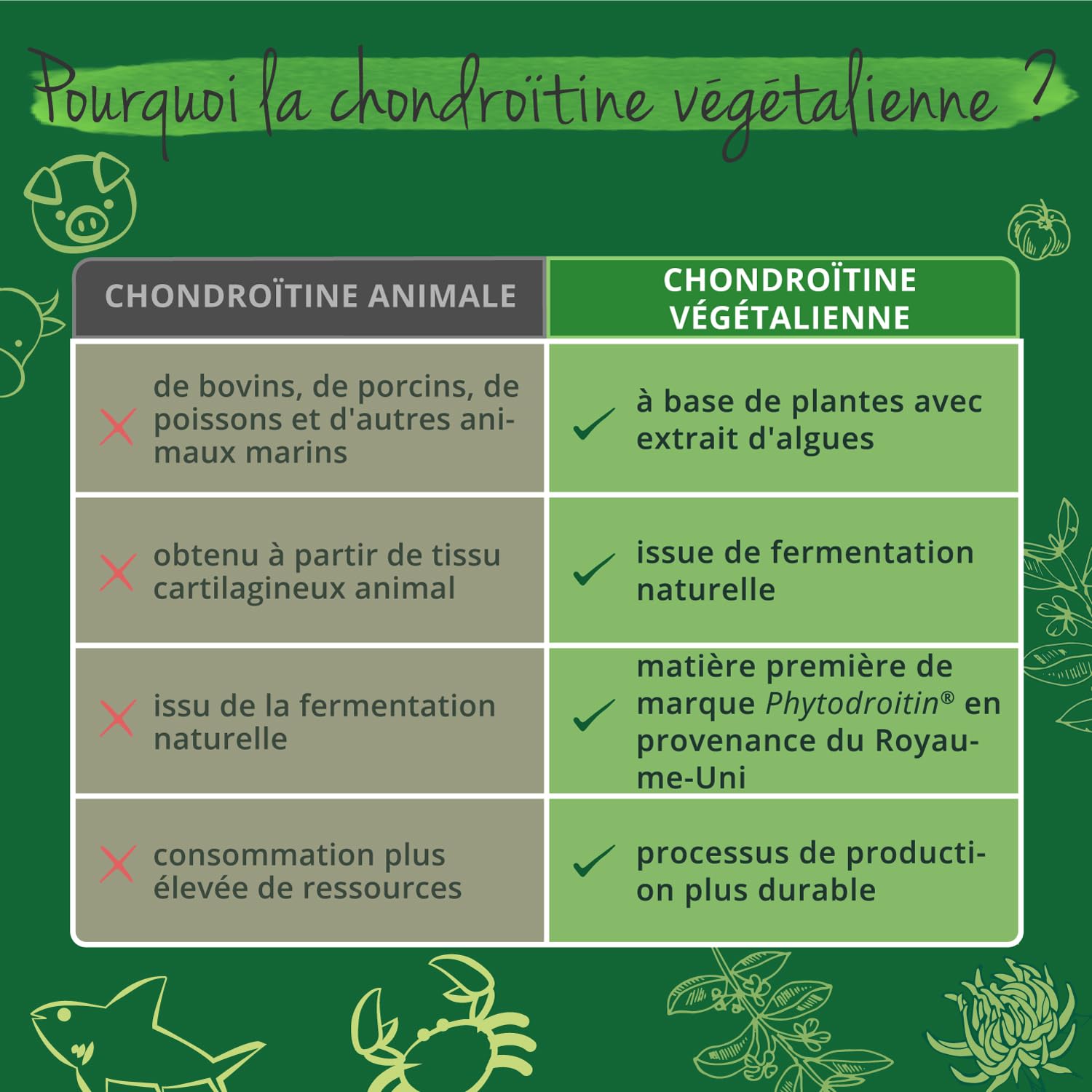 Glucosamine Chondroïtine Complex Vegavero® | 100% VEGAN | Avec MSM, Vitamine C, Harpagophytum et Zinc | Pour les ARTICULATIONS* | Sans Additifs | 180 Gélules