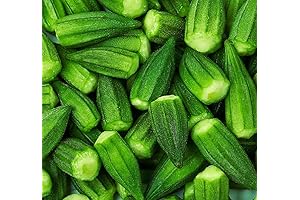 Okra Seeds for Planting to Plant & Grow in Your Garden