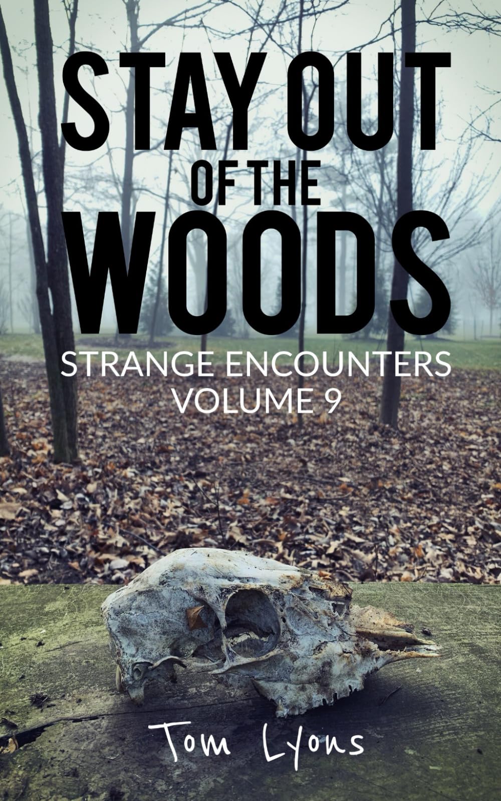 Stay Out of the Woods: Strange Encounters, Volume 9