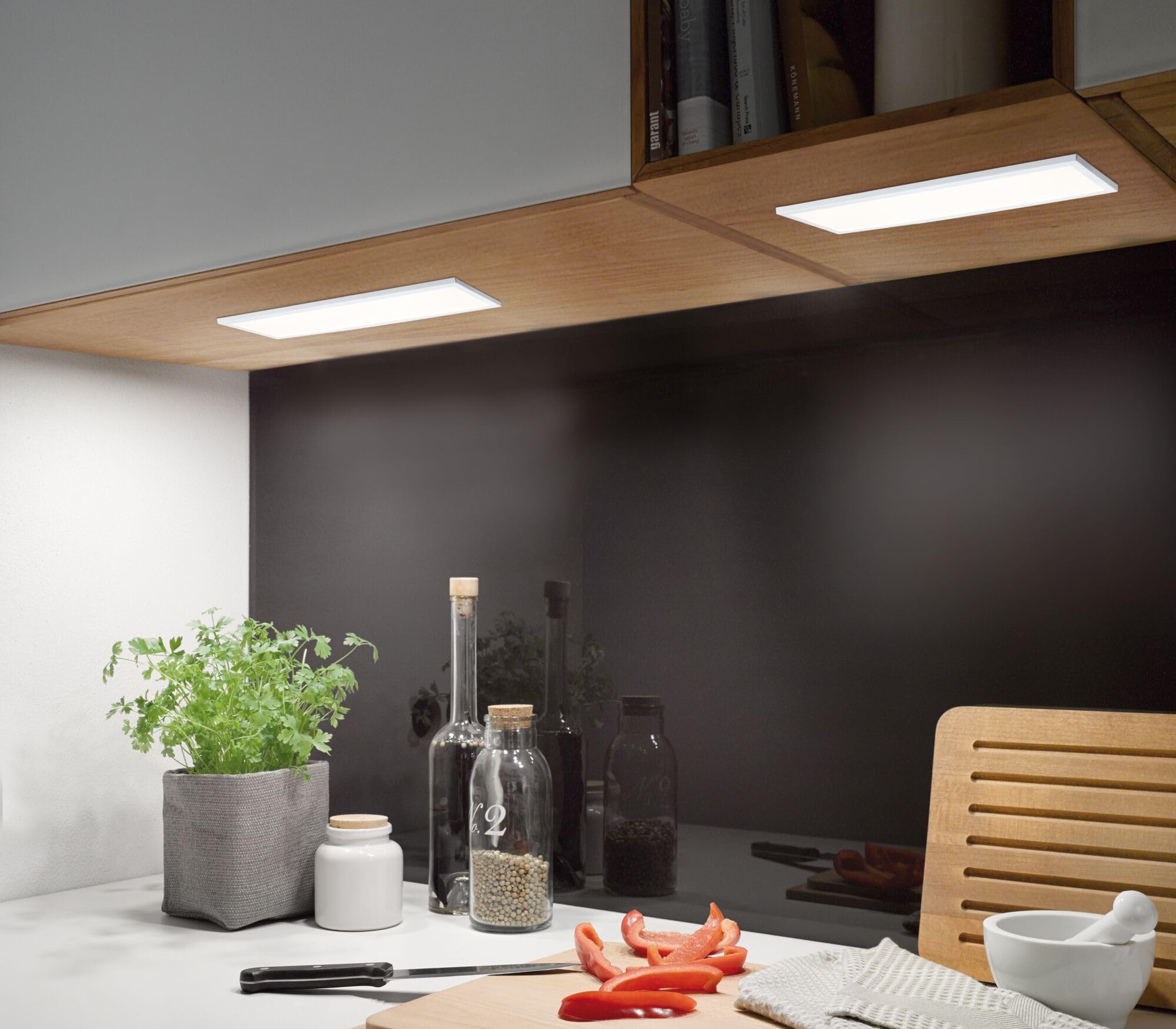 Paulmann Function Ace LED-Panel Basic Set 10x30cm 7,5W 230/24V 24VA Weiß Sat Met/Kunststoff