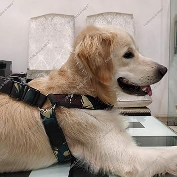 Jainsons Military Print with Soft Cotton Fabric Padding Dog Harness with Leash 1.5 Inch for Large Breed Dogs.