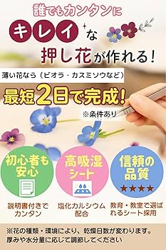 Amazon.co.jp: 夢色花伝 押し花キット 押し花 乾燥シートセット