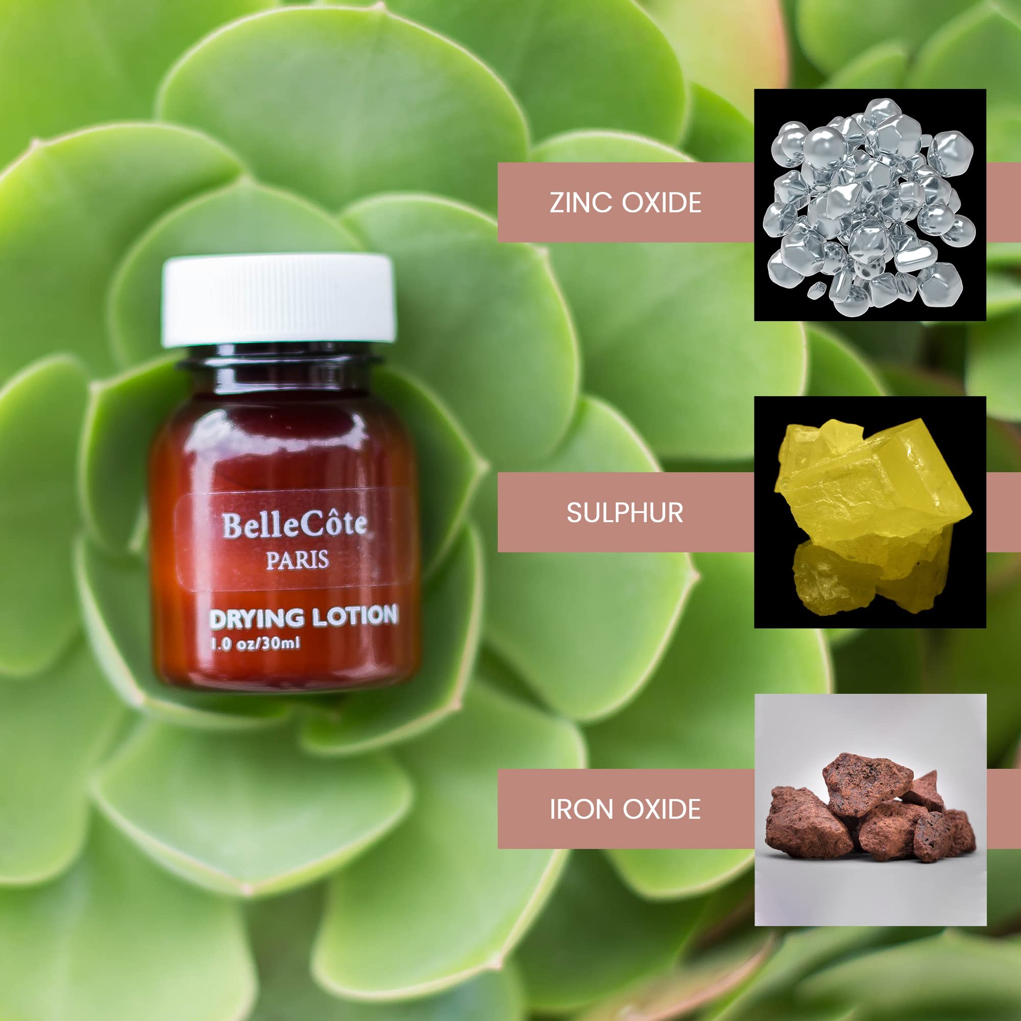 Amazon.com : BelleCôte Paris Drying Lotion - Cystic Acne Spot