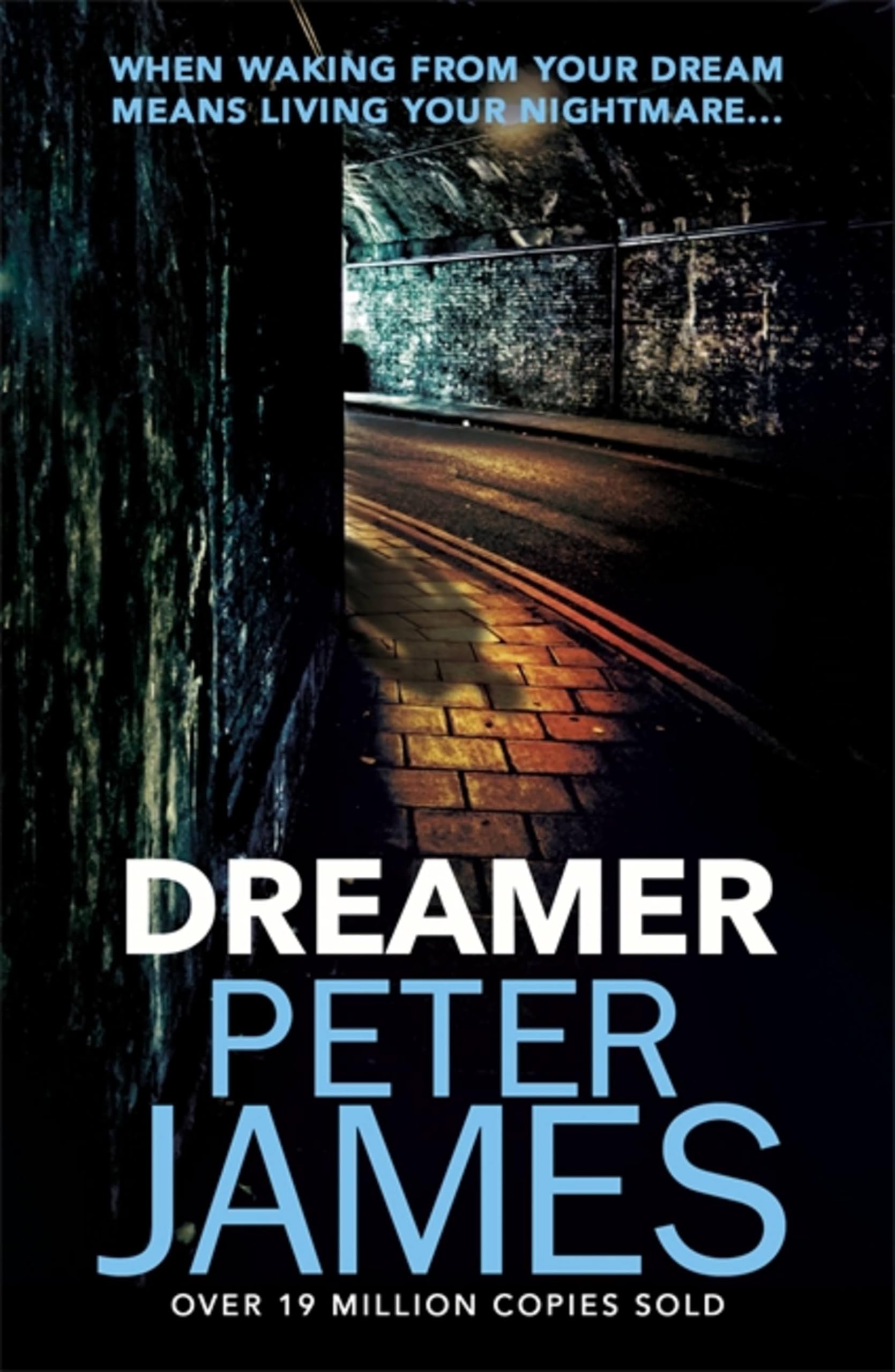PETER JAMES: DREAMER (PAPERBACK) NEW BOOK