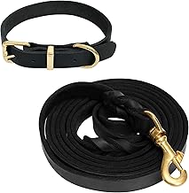 Guiding Star 6ft Leather Dog Leash and Collar Set, Soft Braided Leather Leash with Adjustable Collar, Heavy Duty Set for Small to Large Dogs (Black)