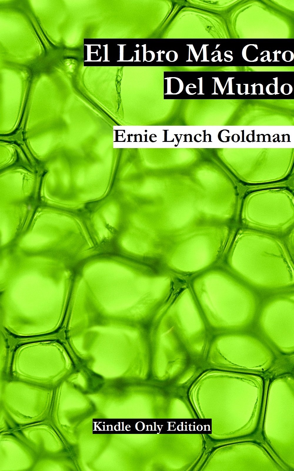 El Libro Más Caro del Mundo (Spanish Edition)