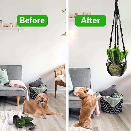 Miniatura 3 de Soporte para plantas de macramé, paquete de 3 colgadores para macetas colgantes de techo de 35 pulgadas, estilo bohemio, hecho a mano, cuerda de