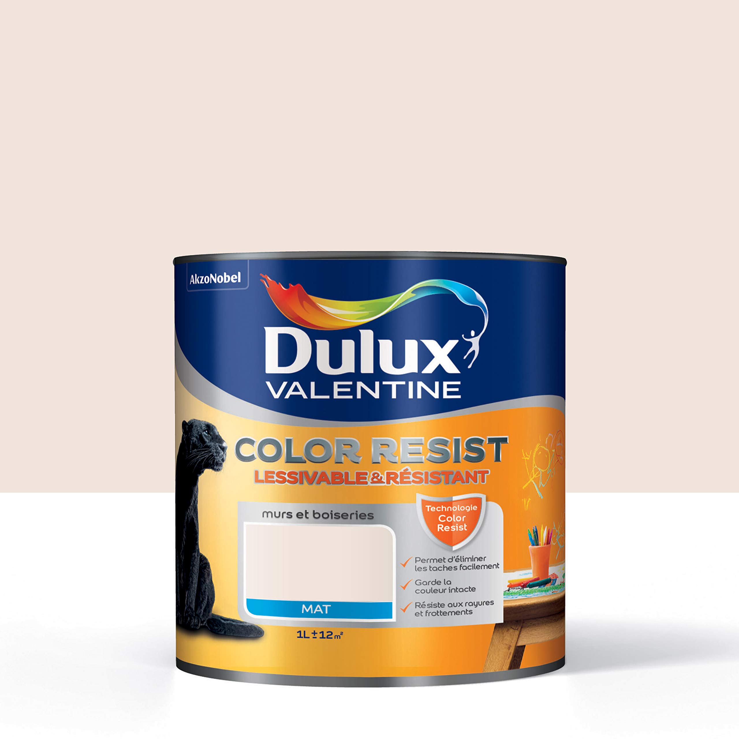 Peinture Color Resist Dulux Valentine aspect Mat Plâtre Rose durable 1 L