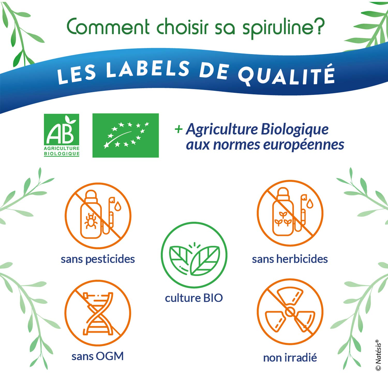 NATESIS — Spiruline & Chlorella Bio 50/50 — 250 comprimés 540 mg — Complément alimentaire bio et vegan — Vitalité, digestion, immunité — Flacon en verre brun — 135 g
