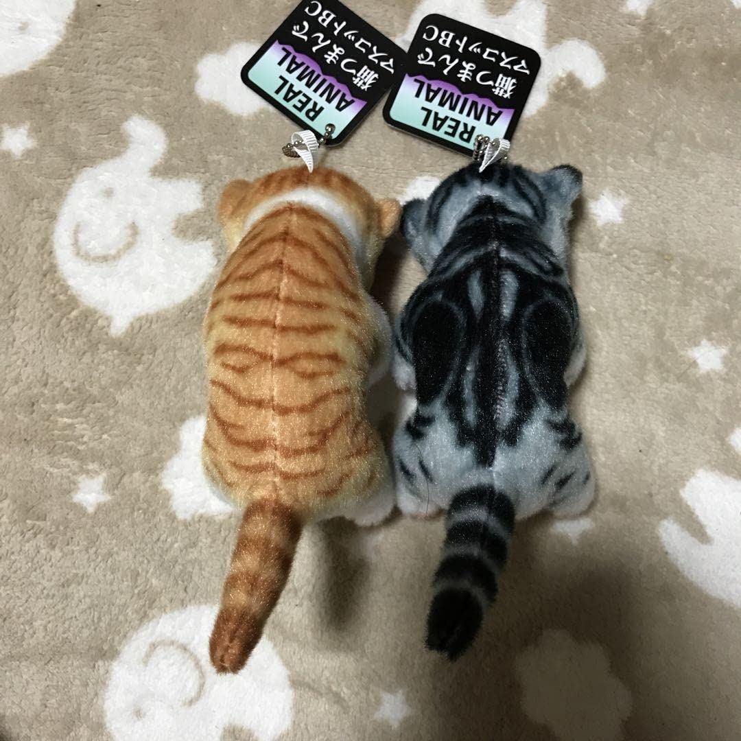 Amazon.co.jp: 猫つまんでマスコットBC 2匹セット : ペット用品