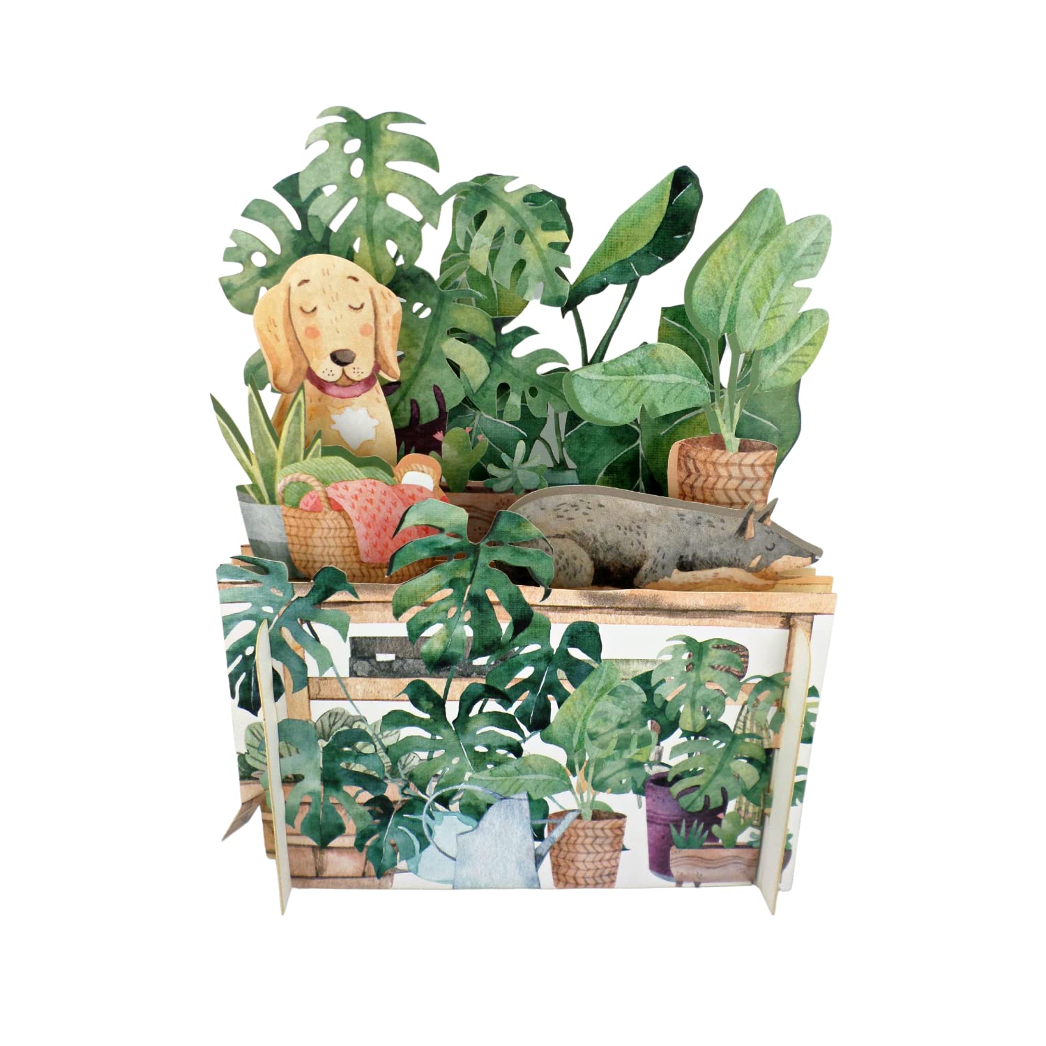 Botanical Dogs Birthday Celebration 3D Pop Up Card for Kids by Alljoy Cards KID028