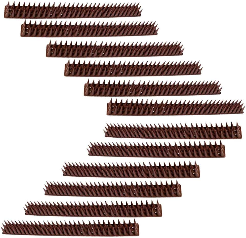 Amazon.ca bird spikes