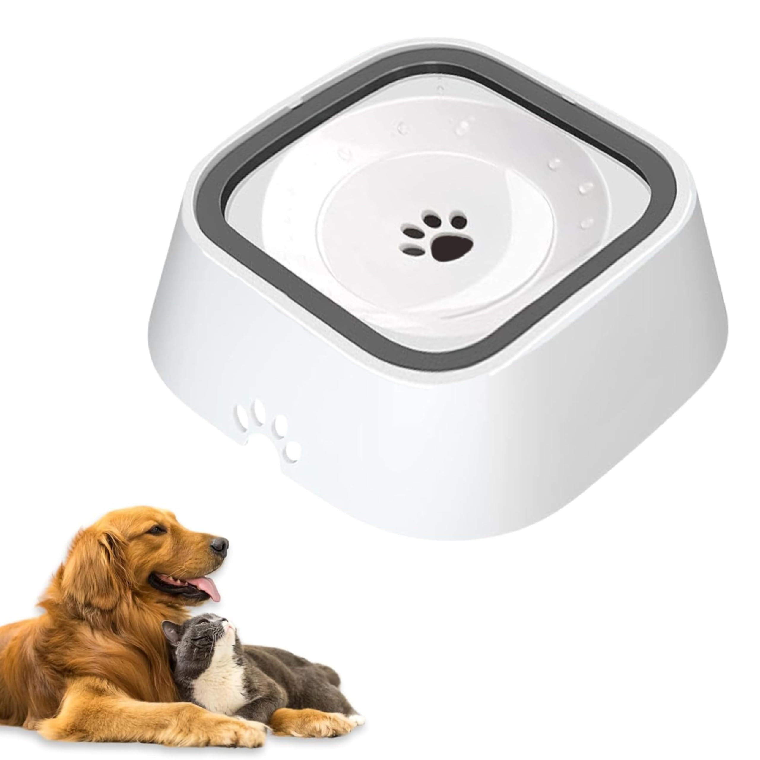 16 Oz Anti Splash Water Bowl No Spill Dog Water Bowl Franklin