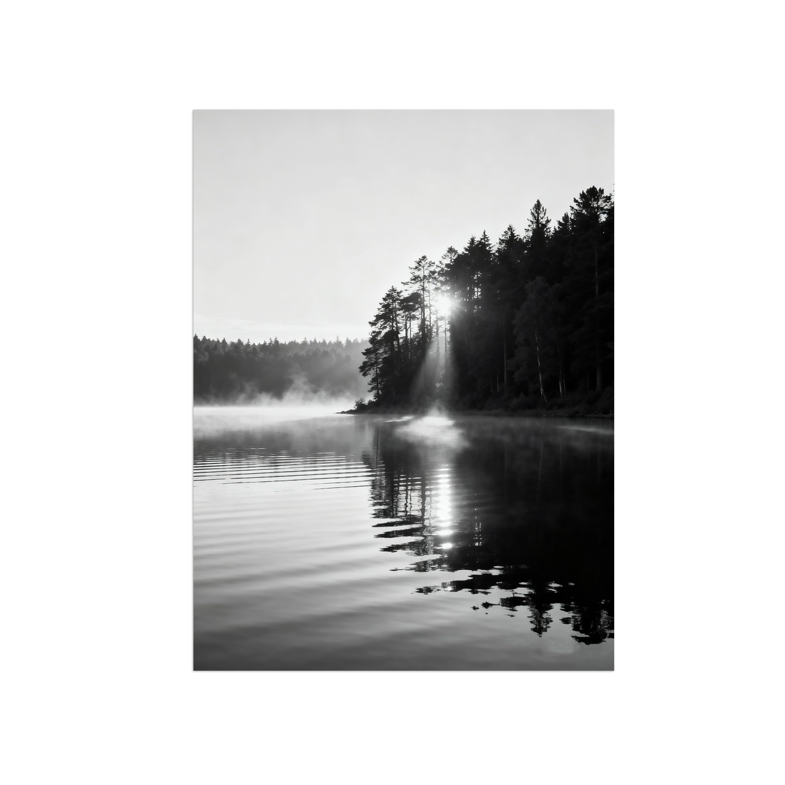 Black White Landscape Wall Art. Forest Lake 2. Picture 50x65cm Framed