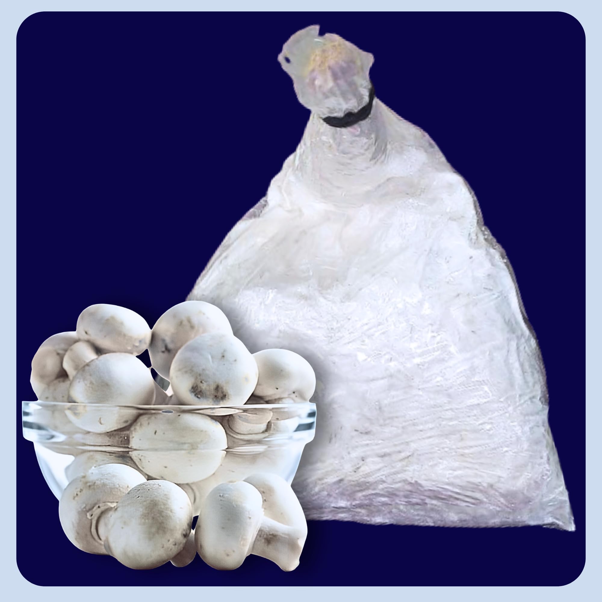 Organic Button Mushroom Spawn Seed (200 gm + 2PP Grow Bags + Instruction) - First Generation White Mycelium Button Mushroom Spawn for Home Garden Agaricus bisporus Variety