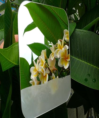 Miniatura 9 de Deluxe - Espejo de ducha grande sin niebla (12.0 x 8.0 in), espejo de afeitado de viaje, sin niebla, espejo de ducha inastillable, portátil