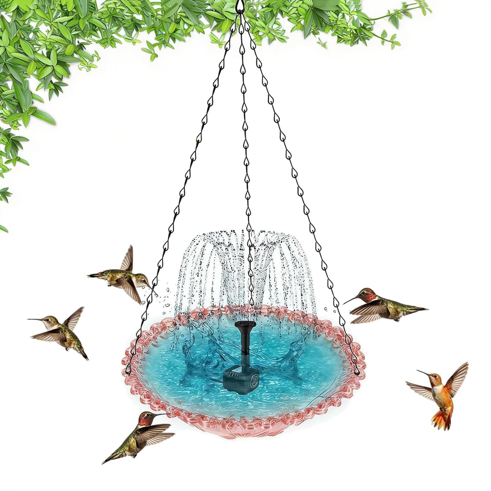 Fontaine solaire suspendue pour oiseaux : créez un havre pour colibris