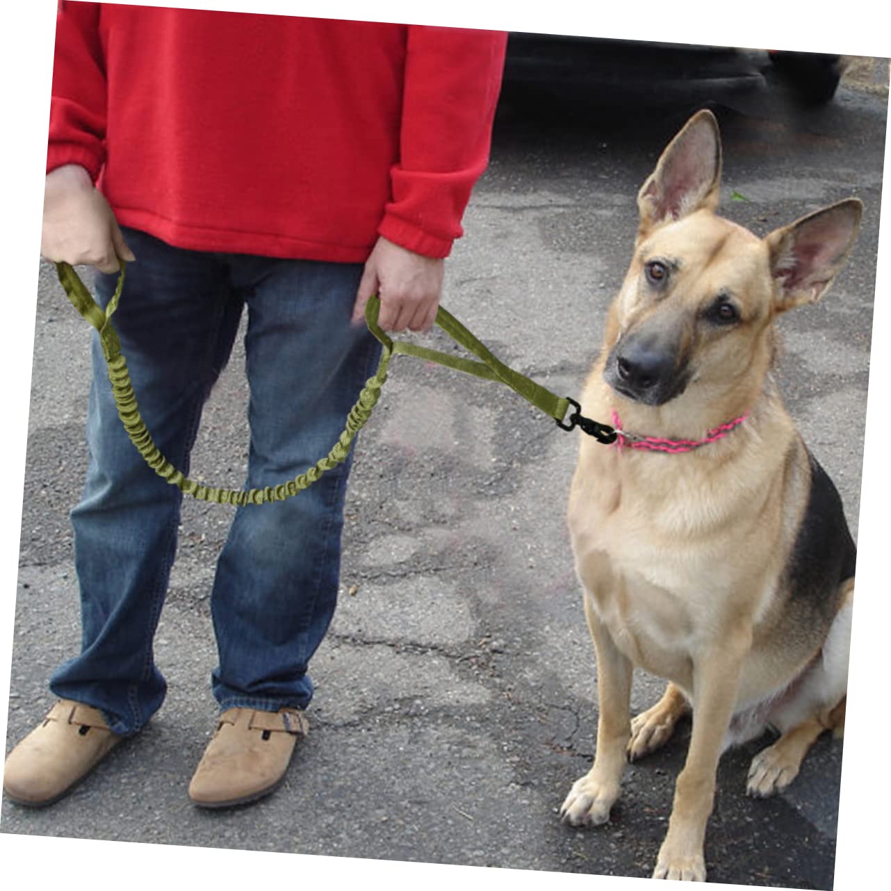 Sosoport Guinzaglio Da Addestramento Per Cani in Nylon Verde 3 Pezzi Comodo Ed Estensibile Per Unesplorazione Sicura Degli Animali Domestici