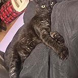 お客様イメージ、クリックしてカスタマーレビューを開く