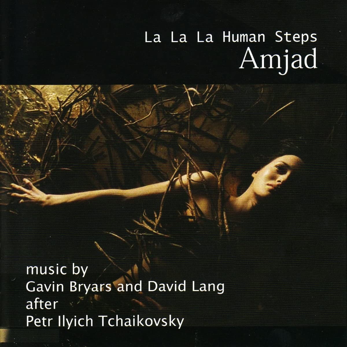 Amjad [Audio CD] BRYARS GAVIN/DAVID LANG