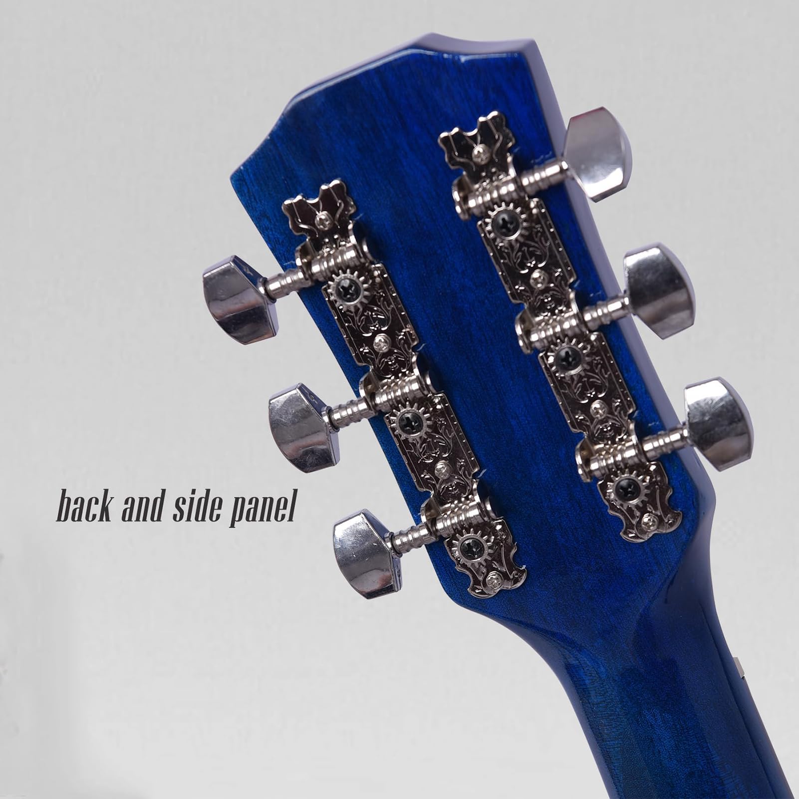 Amazon | Aryari アコギ 青 アコースティックギター 初心者入門練習