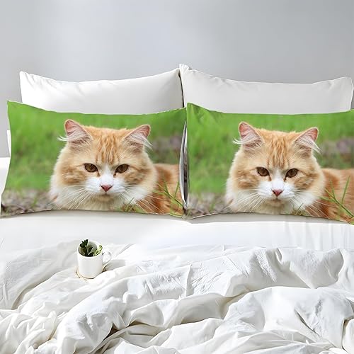 Miniatura 5 de Light Green Cat Duvet Cover Full Animal Print Bedding Sets Full Soft Microfiber Comforter Cover and 2 Pillow Shams 20"X26", Bed Set Duvet Covers