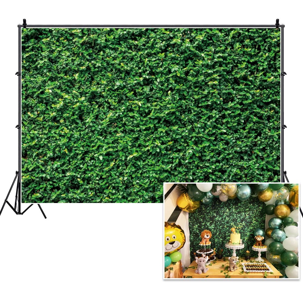 Haoyiyi 10x8ft Nature 3D Green Lawn Leaves Wall Backdrop Background Spring Safari Outdoorsy Grass Photography Newborn Lover Wedding Brider Baby Shower