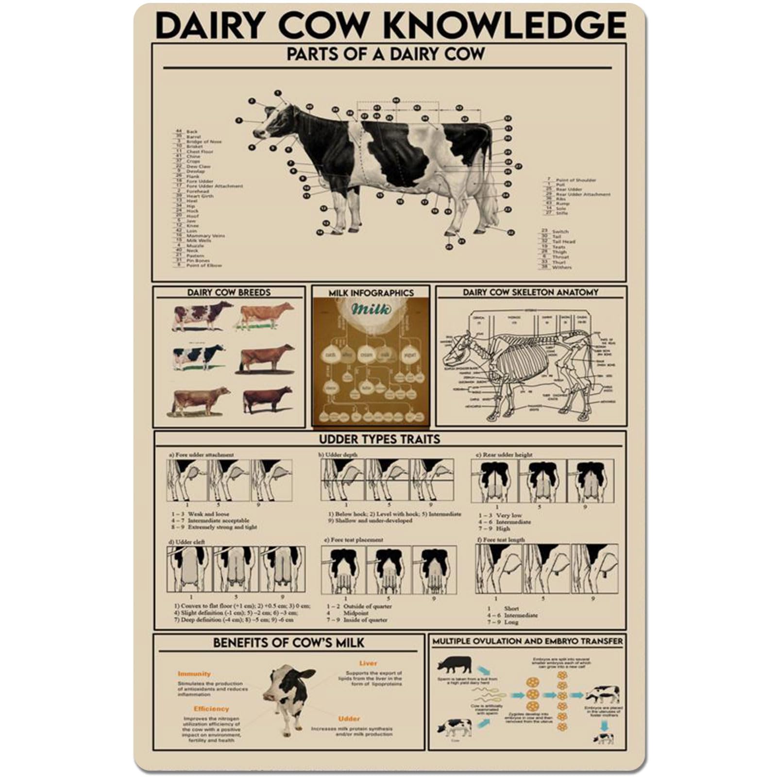 Peiyeety J-12 Dairy Cow Knowledge Metal Tin Signs Dairy Cow Information Retro Poster Popular Science Educational Charts Wall Plaques Decor For Home Classroom Room Office 12X16 Inch