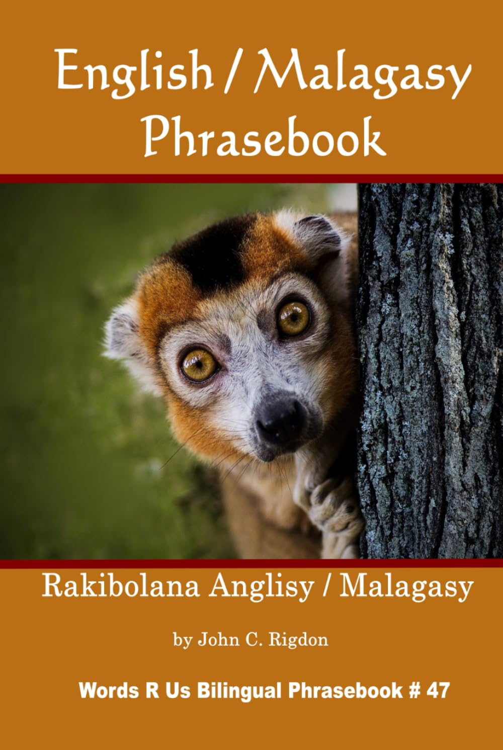 English / Malagasy Phrasebook: Rakibolana Anglisy / Malagasy (Words R Us Bilingual Phrasebooks)