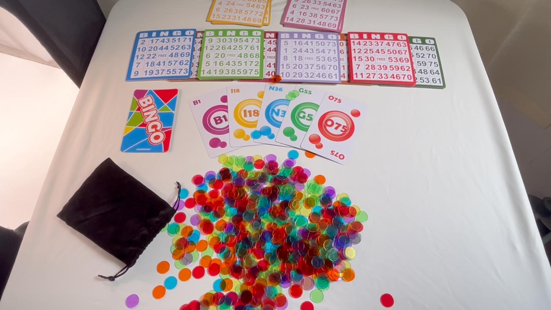 Amazon.com: JUNWRROW Bingo Game Set-1000 Colorful Chips with a Bag