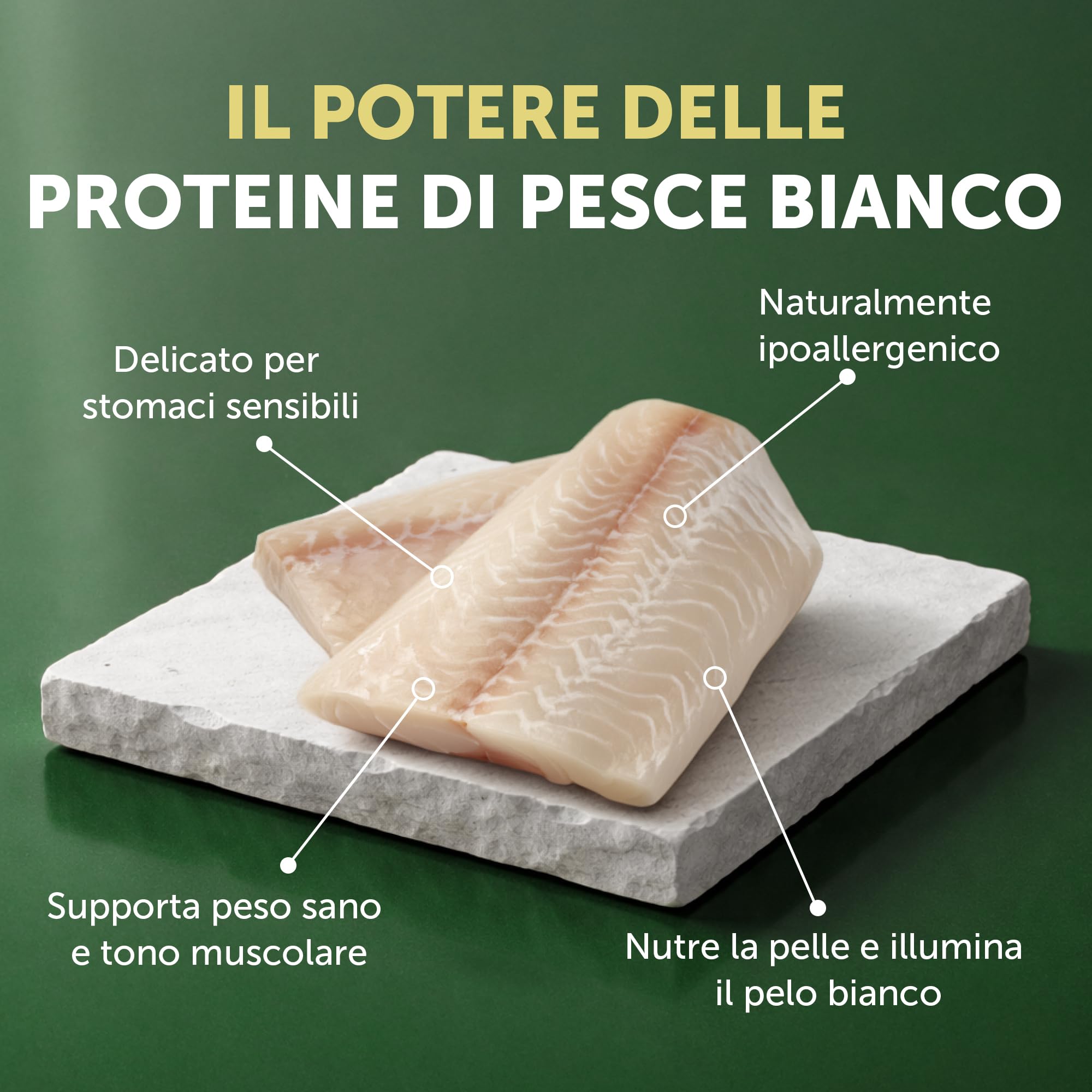 Nature's Protection Superior Care - Cibo Secco Ipoallergenico Senza Cereali per Cani Adulti di Razze Piccole e Mini, Riduce le Macchie di Lacrime, Pesce Bianco, 1,5 kg