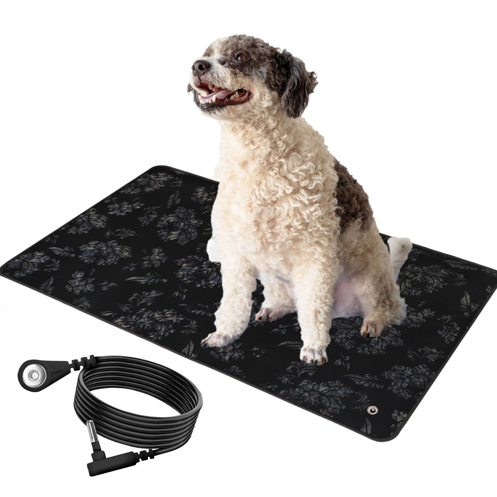 4 Best Grounding Mats for Dogs (2024)