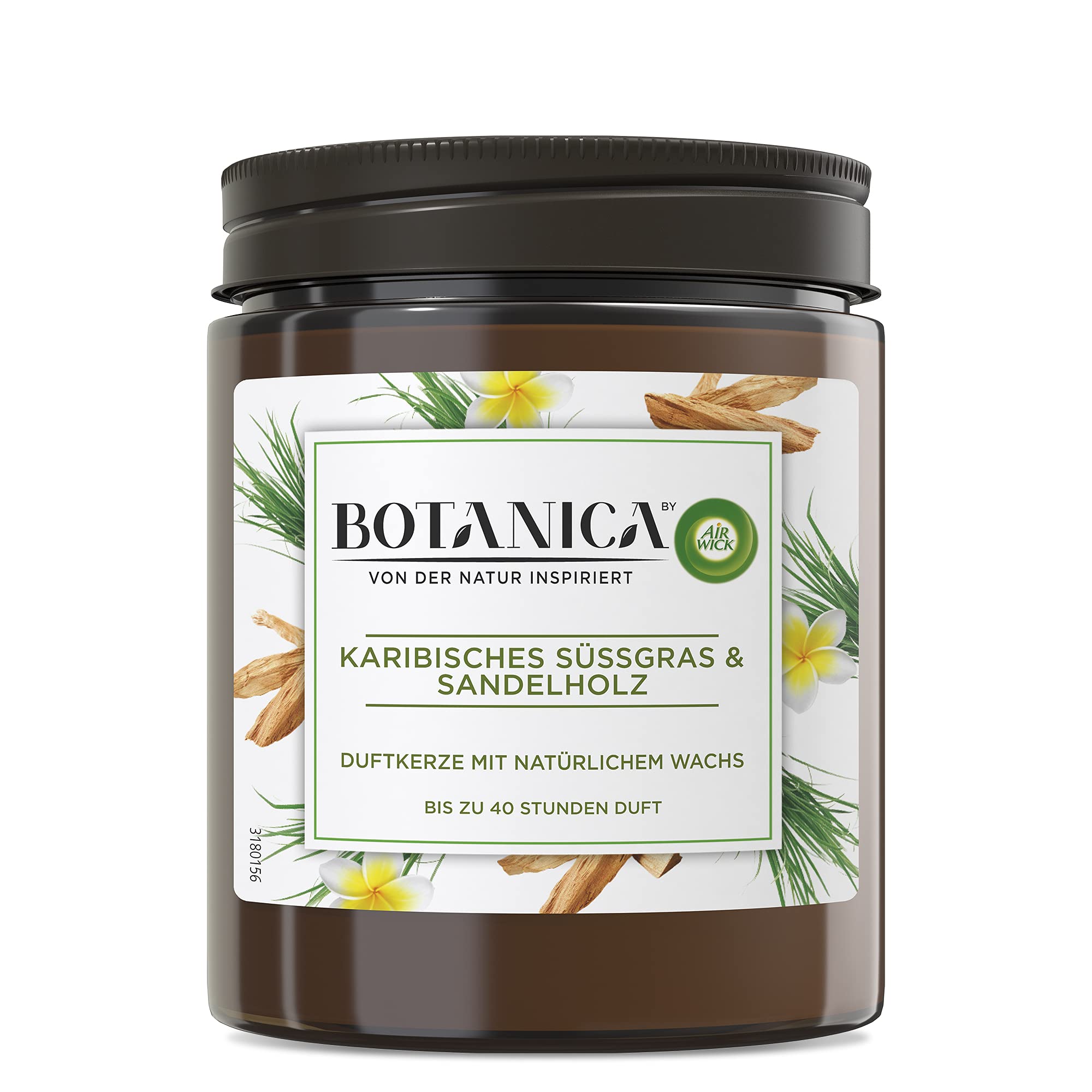 Botanica by Air Wick 6 candele profumate in barattolo – fino a 40 ore per candela – Fragranza: erba dolce e legno di sandalo – Prodotto in modo sostenibile con ingredienti naturali – 6 x 205 g candela