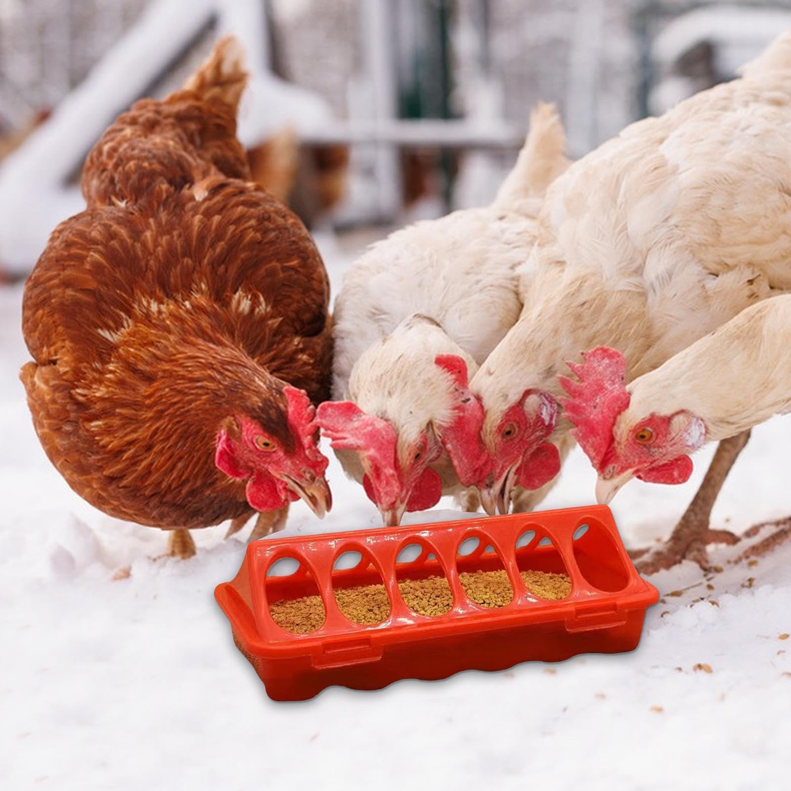 Comedero para pollitos, comedero para codornices, alimentador automático para aves de corral con 6 compartimentos, 2 bebederos para aves de corral para palomas, loros, pollitos, codornices, patos
