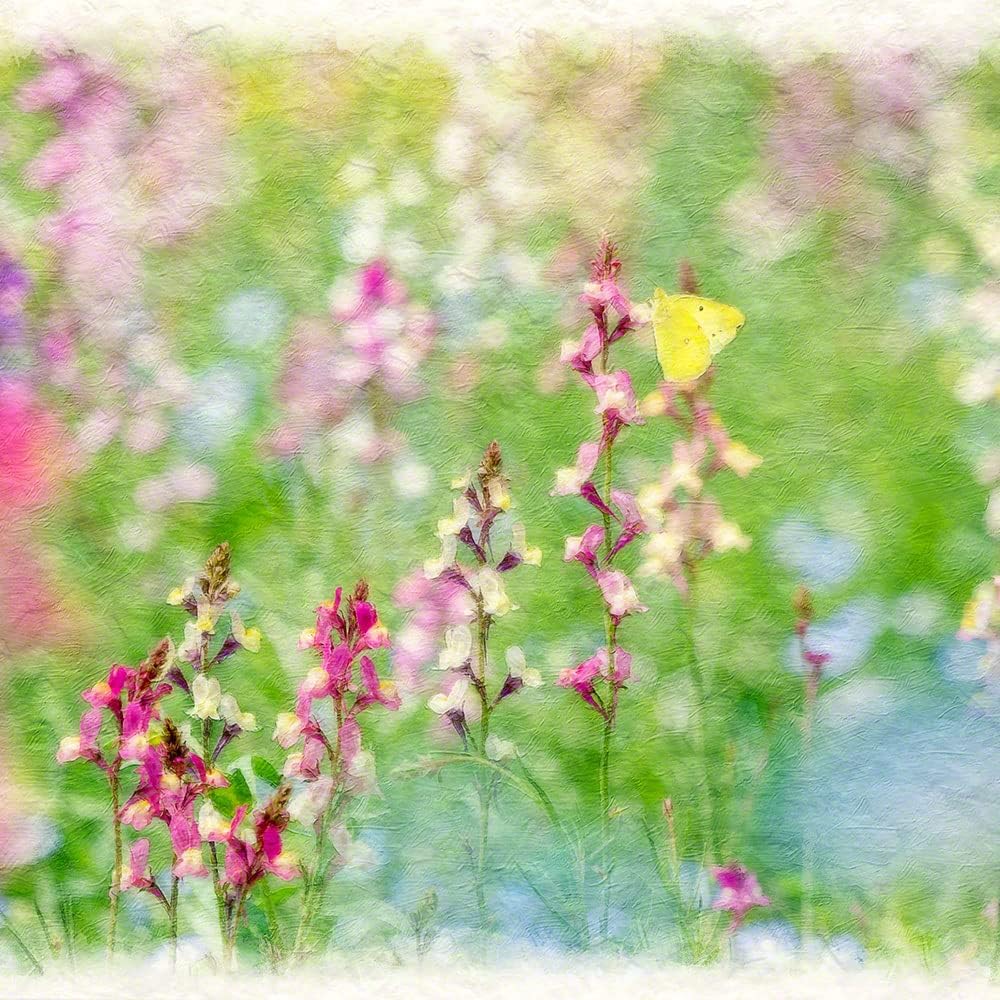 メール便送料無料対応可 和紙 アート パネル 春 ピンク 花 キンギョソウの花畑 30x21cm 絵 絵画 ポスター 玄関 インテリア おしゃれ 風景 画 壁 掛け 和 モダン 和風 癒し Gts Com Pe