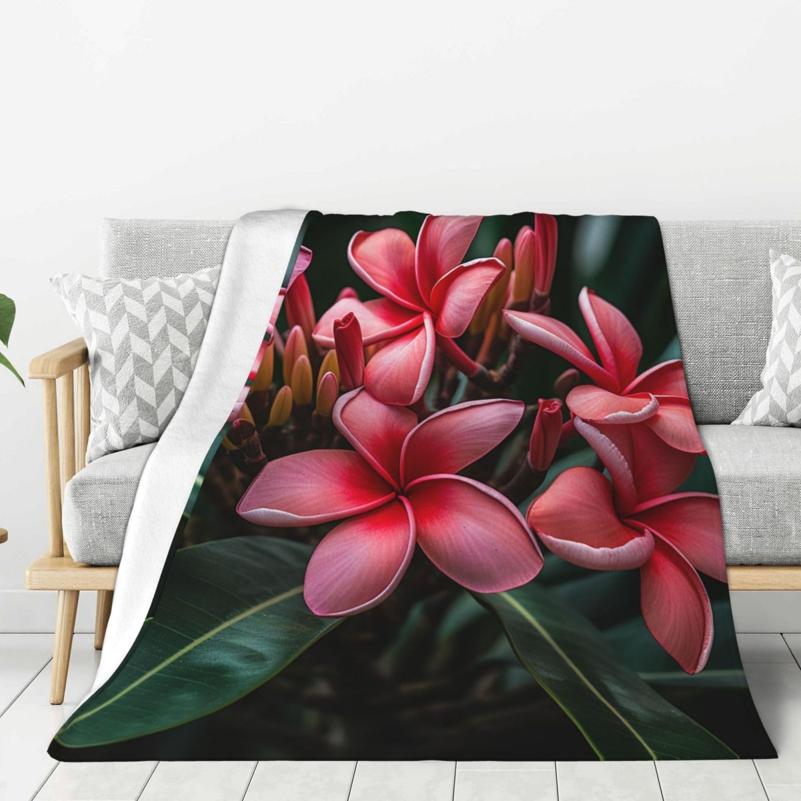 Plumeria Throw Blanket Plush Flannel Fleece Blanket, Soft Lightweight Cozy Blankets 40"X30" for Bed Couch Sofa Travel