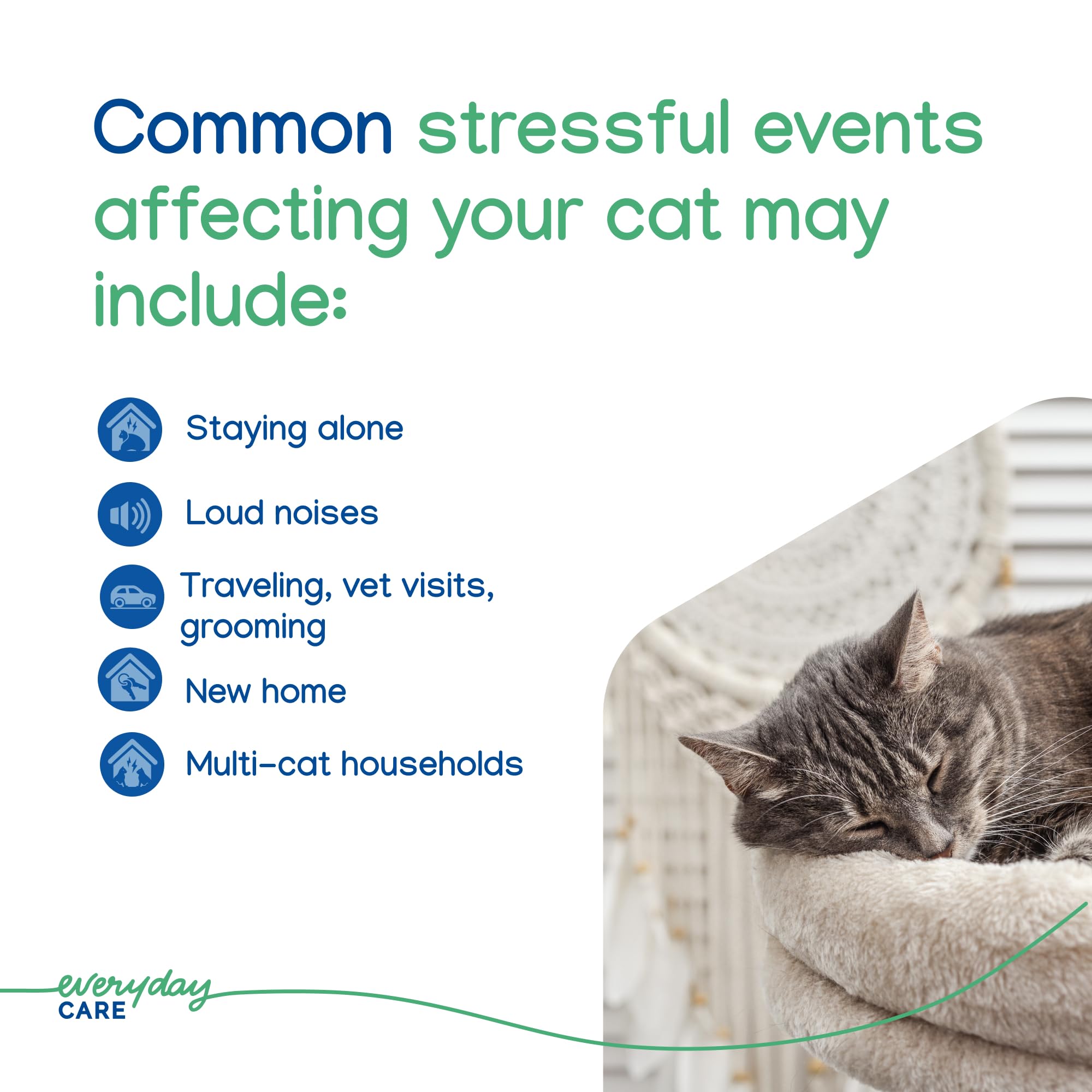 Virbac ZENIFEL™ Gel Diffuser | Managing Stress-Related Behaviors in Kittens & Cats - No Electricity Needed - Lasts Up to 2 Months - image 5