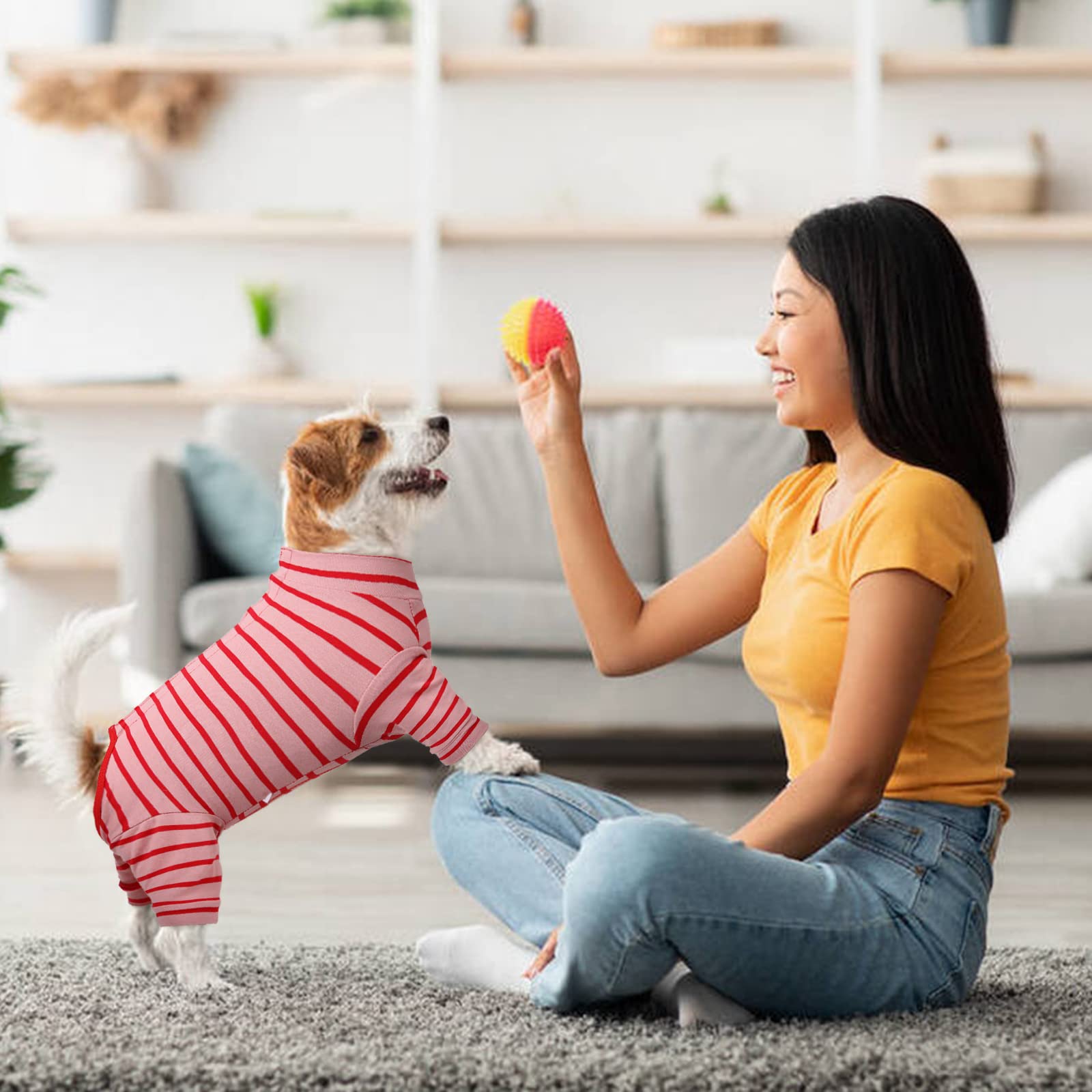 Kuoser Combinaison de récupération pour chien Combinaison à manches longues après une chirurgie Pour la perte de la peau Protection contre les maladies de la peau Pyjama antiléchage